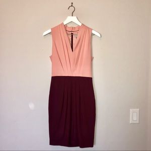 H&M Blush and Burgundy Dress